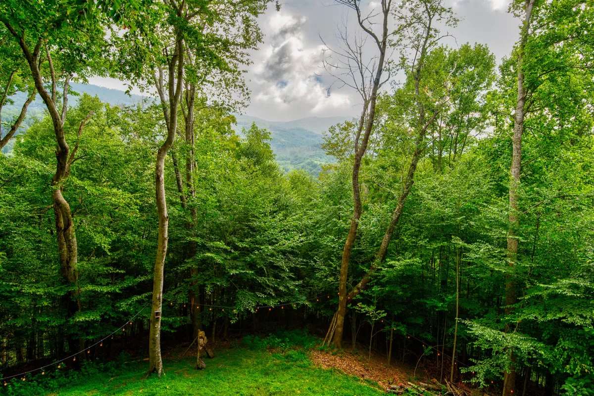 A view of dense greenery, distant mountain peaks, and a gently illuminated pathway weaving through the landscape. The scene evokes early morning hikes, peaceful nature walks, and stargazing at night.