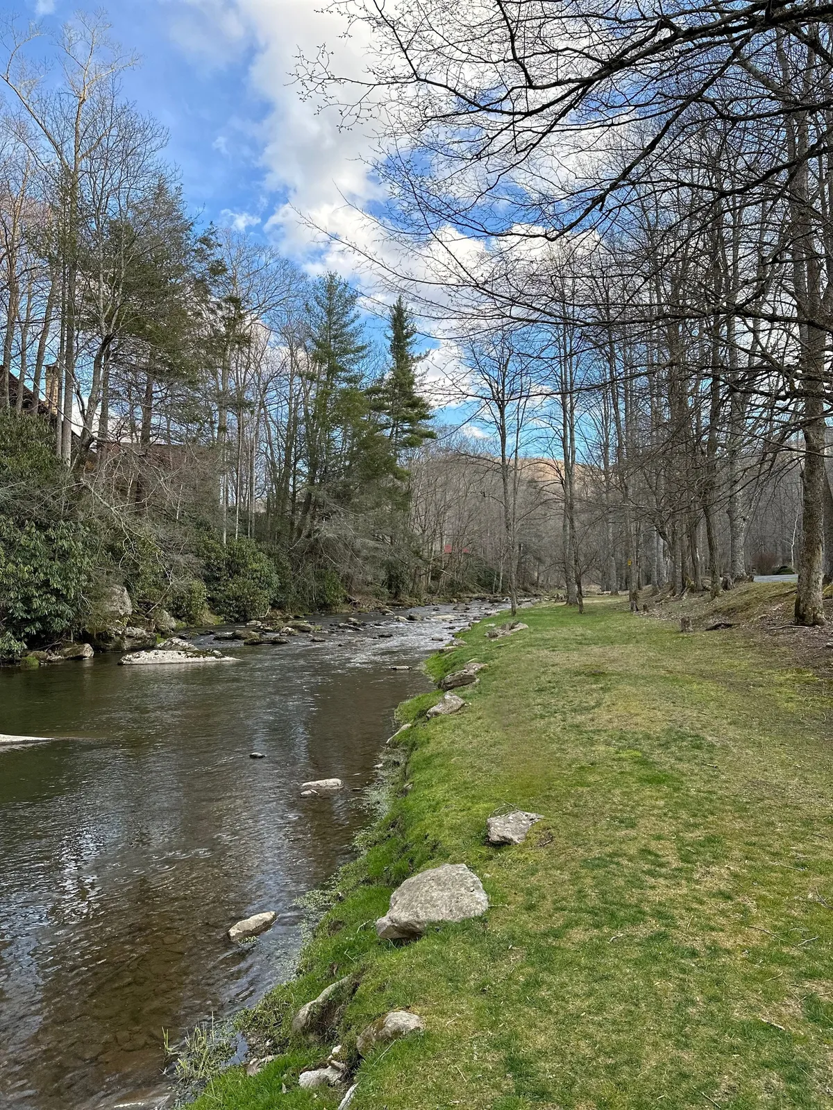 This image showcases the peaceful banks of the Elk River, bordered by trees and grassy areas. The tranquil waters and surrounding nature set a serene atmosphere, ideal for scenic walks with pets.