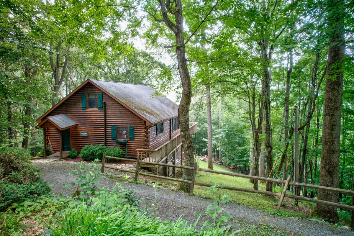 A classic log cabin exterior viewed from the gravel pathway, surrounded by lush trees. The scene highlights opportunities for hiking, picnicking, and wildlife watching, while the rustic architecture hints at cozy mornings and evenings spent close to nature.