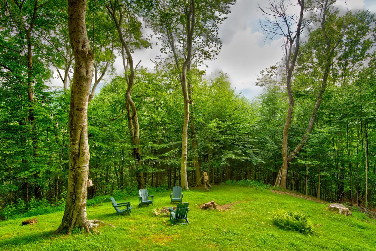 A peaceful backyard scene featuring green chairs around a fire pit, surrounded by tall trees and lush greenery. The open area is ideal for pets to play and families to gather for memorable campfire nights.