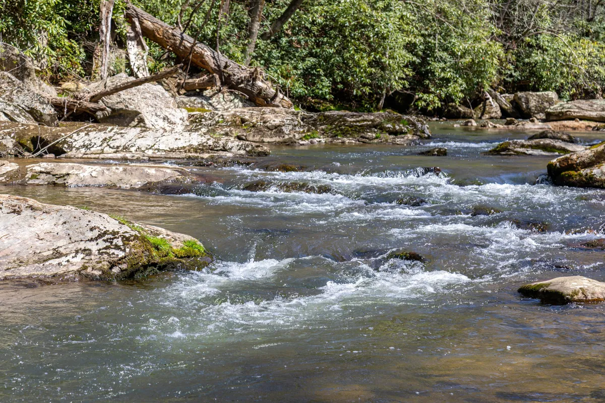 A serene scene featuring the flowing Elk River surrounded by lush greenery and natural rock formations. The riverbank invites visitors to fish, relax, or observe wildlife, with the tranquil water providing a sense of peace and connection to nature.